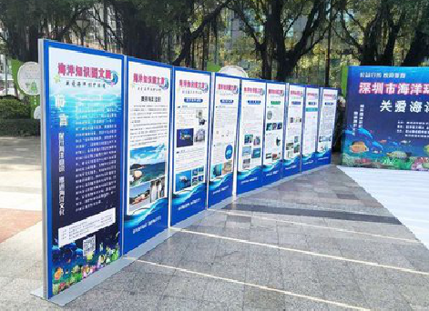 南通KT板的种类和知识。